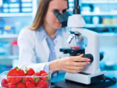 Ako sa testujú diétne programy?