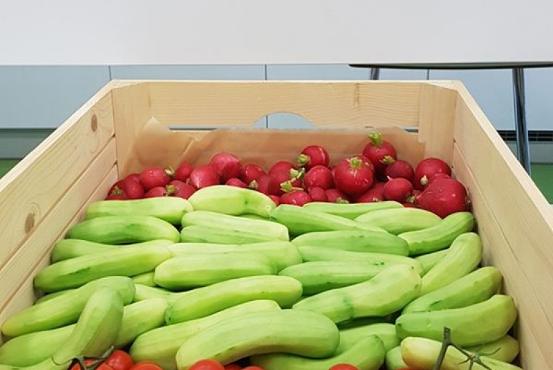 Čerstvá zeleninka Čerstvá zeleninka